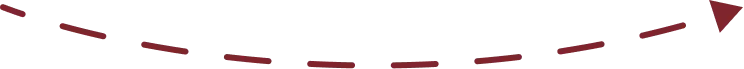 Vector 1 (1)